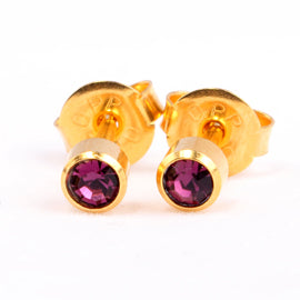Homebrand, Amethyst Birthstone Ear Stud