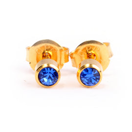 Homebrand, Sapphire Birthstone Ear Stud