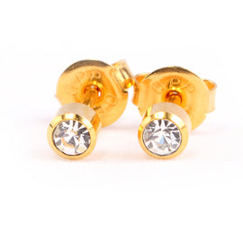 Homebrand, Crystal Birthstone Ear Stud