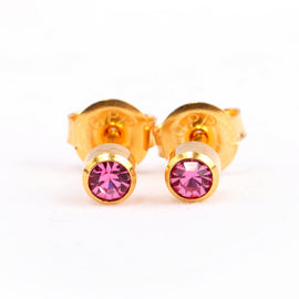 Homebrand, Rose Birthstone Ear Stud