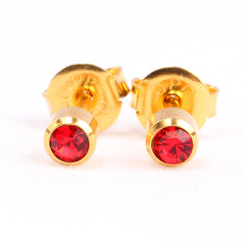 Homebrand, Ruby Birthstone Ear Stud