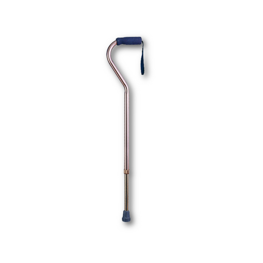 Persona Cane Stick Swan Handle CA834L4