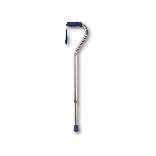 Persona Cane Stick Swan Handle CA834L4